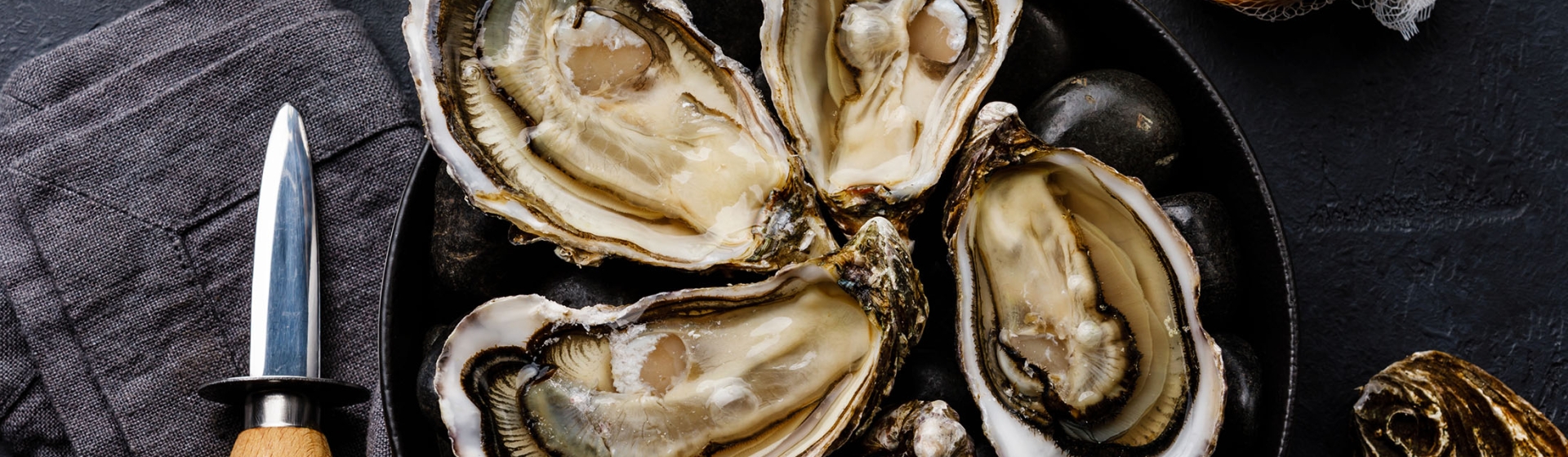 Lowcountry Oyster Festival Mills House
