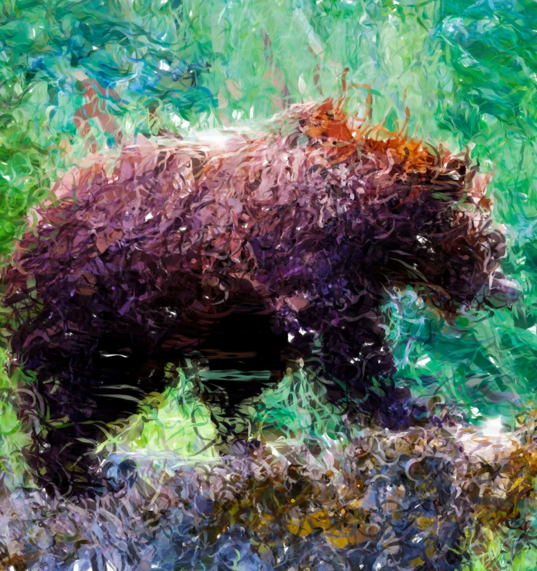 The Southeastern Wildlife Exposition