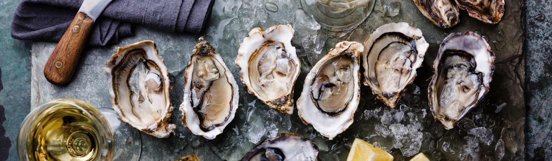 Oysters