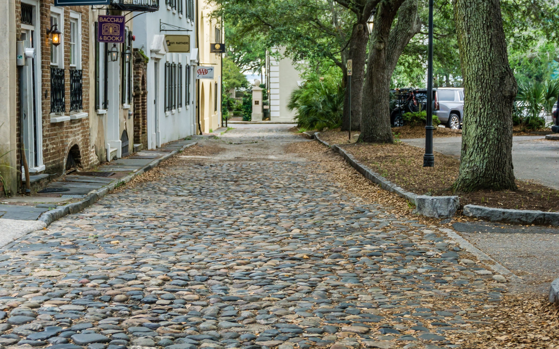 A cobblestone street in Charleston, South Carolina.