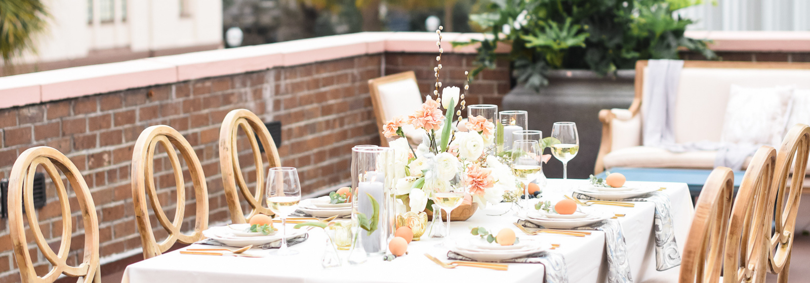 Meeting St. Terrace in charleston